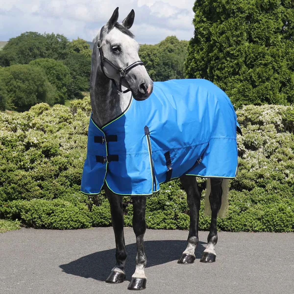 Ventomasta 200g Mediumweight Standard Neck Turnout Rug Cobalt 1 Ventomasta 200g Mediumweight Standard Neck Turnout Rug Cobalt