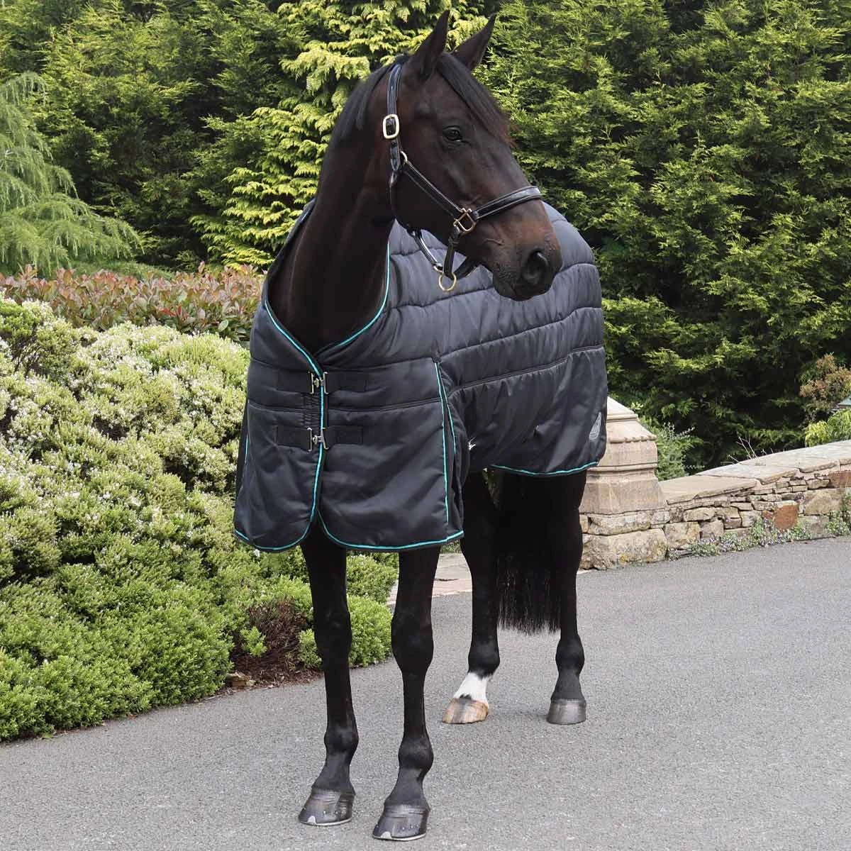 Ventomasta 200g Mediumweight Standard Neck Stable Rug Black 1 Ventomasta 200g Mediumweight Standard Neck Stable Rug Black