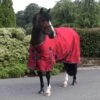 Ventomasta 100g Lightweight Standard Neck Turnout Rug Red