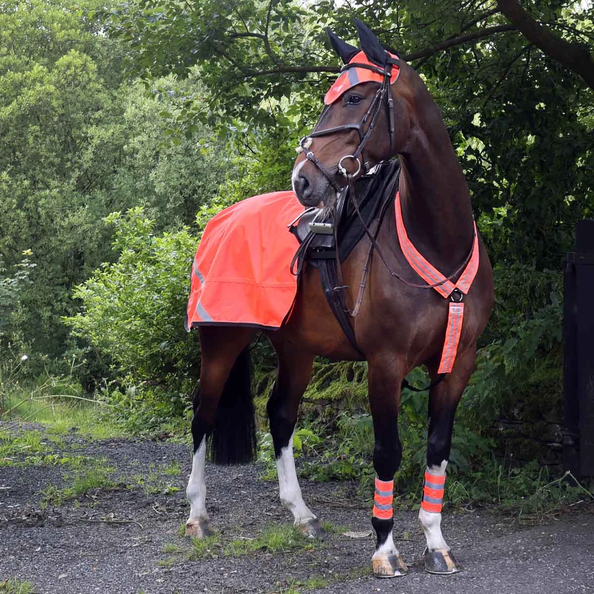 Masta Hi Viz Breast Plate Orange 3 Masta Hi Viz Breast Plate Orange - Image 3