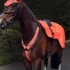 Masta Hi Viz Breast Plate Orange