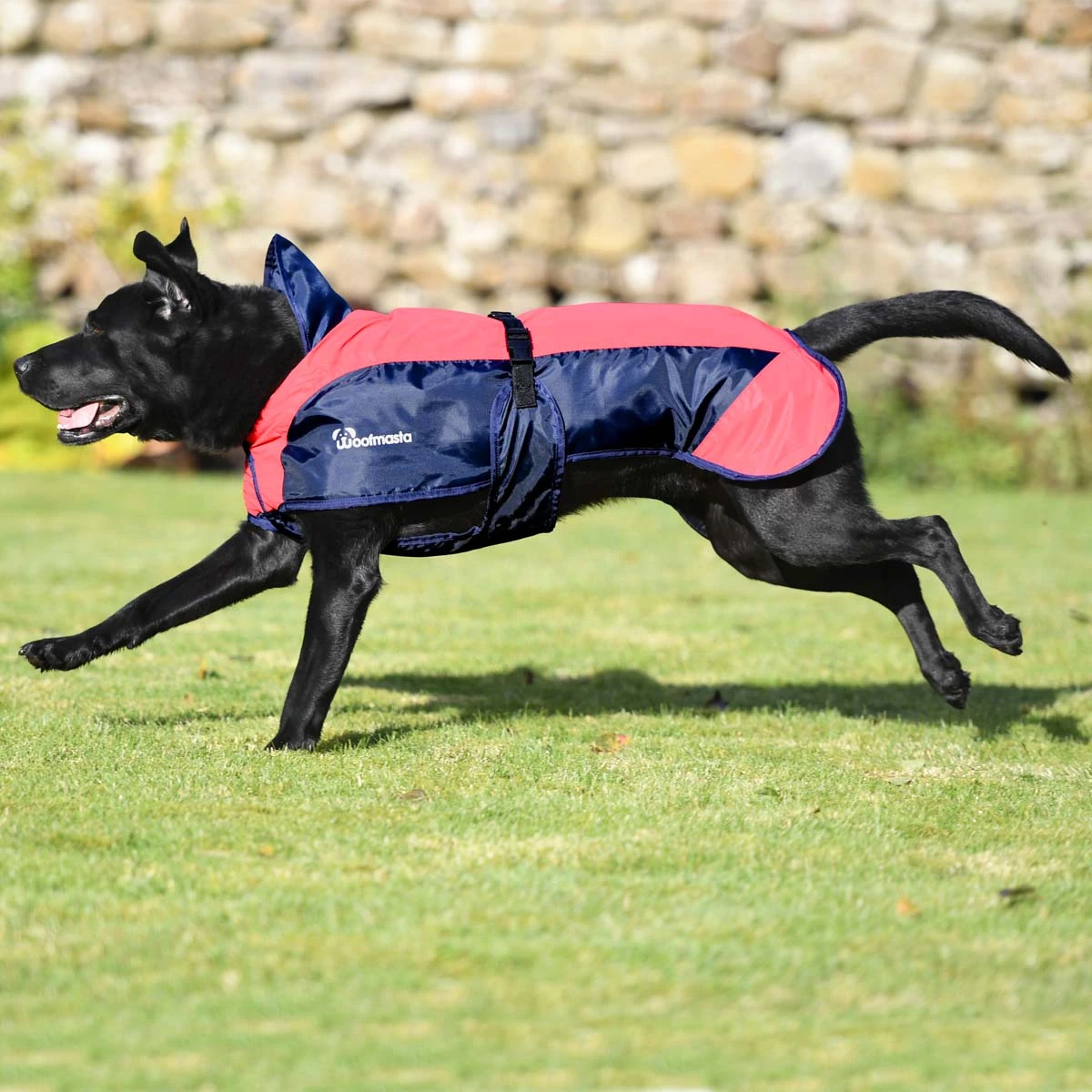 Woofmasta Reflective Dog Coat Red 2 Woofmasta Reflective Dog Coat Red - Image 2
