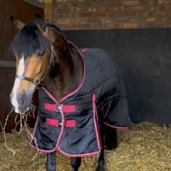 Ventomasta 100g Lightweight Standard Neck Stable Rug Black -Saddle Store ma7682 ventomasta 100g stable lifestyle