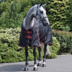 Ventomasta 100g Lightweight Standard Neck Stable Rug Black