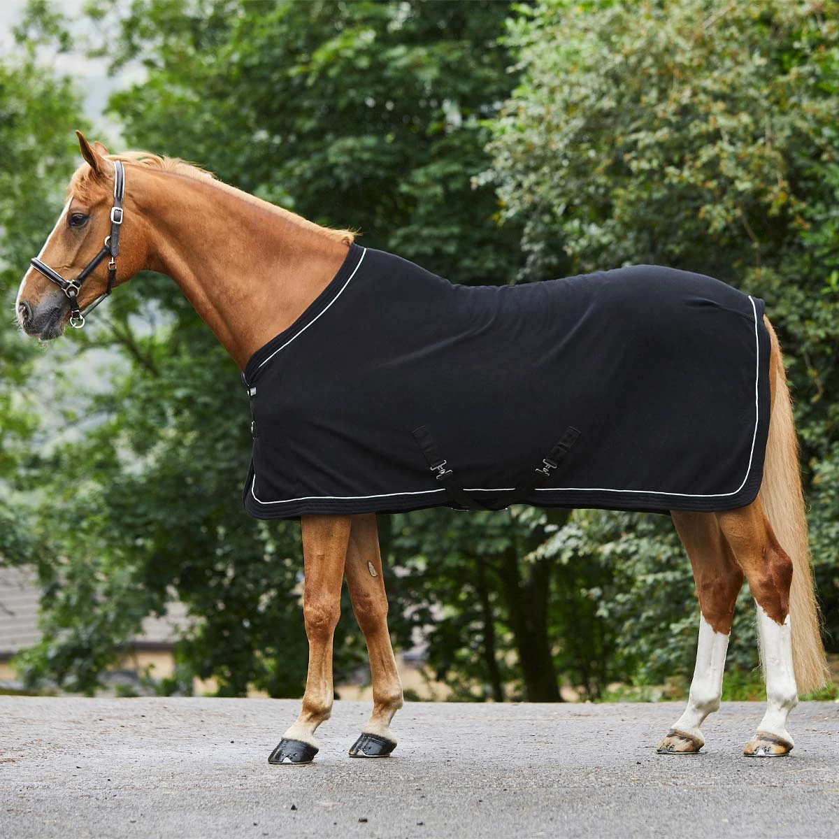 Masta Horse Fleece Rug Standard Neck Black 1 Masta Horse Fleece Rug Standard Neck Black