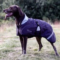 Woofmasta Dog Coat Dark Grey