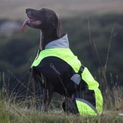 Woofmasta High Viz Dog Coat Yellow -Saddle Store ma8152 hi viz dog coat shot 2