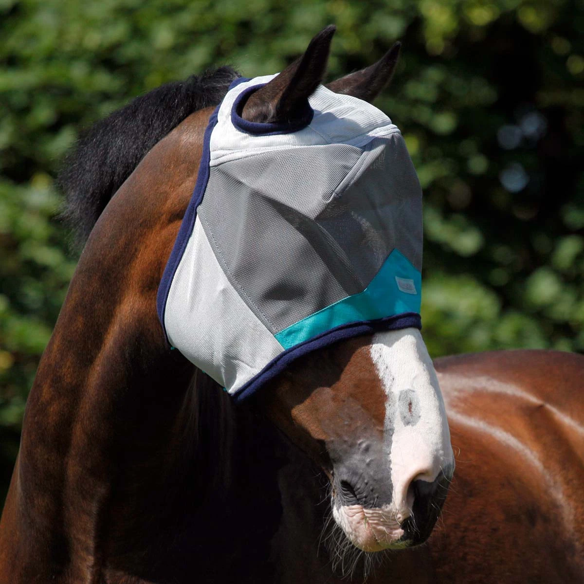Masta Fly Mask Teal 1 Masta Fly Mask Teal