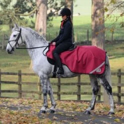 Masta Waterproof Wrap Around Exercise Sheet Red -Saddle Store main image. wrap around