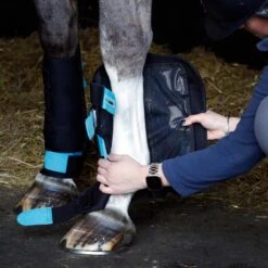 Ice Masta Therapy Boot Black -Saddle Store masta ice boot 2