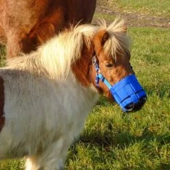 The Ultimate Grazing Muzzle Size Small Pony Blue