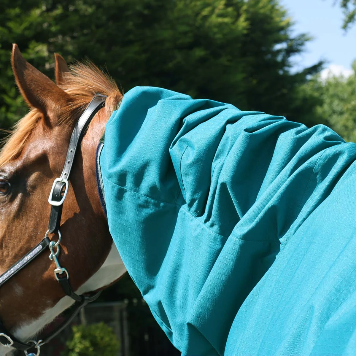 Fieldmasta 220g Combo Neck Turnout Rug Petrol Blue 4 Fieldmasta 220g Combo Neck Turnout Rug Petrol Blue - Image 4