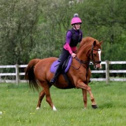 Harry Hall Perform Base Layer Purple -Saddle Store perform pink