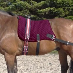 Thermatex Pro-Core Trainer Berry