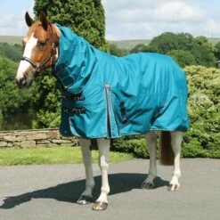 Fieldmasta 220g Combo Neck Turnout Rug Petrol Blue