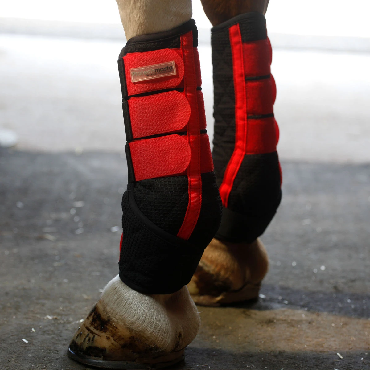 Protechmasta Stable Wrap Black 2 Protechmasta Stable Wrap Black - Image 2