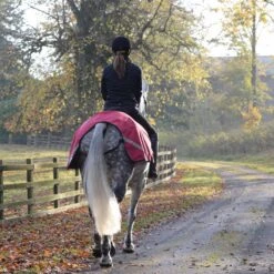 Masta Waterproof Wrap Around Exercise Sheet Red -Saddle Store red lifestyle
