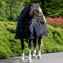 Stablemasta 300g Heavyweight Combo Stable Rug Black