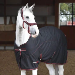 Protechmasta Therapy Cooler Horse Rug Black