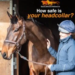 Equilibrium Stellar Safety Headcollar Brown 13 Equilibrium Stellar Safety Headcollar Brown -Saddle Store stellar social 1