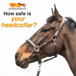 Equilibrium Stellar Safety Headcollar Brown 14 Equilibrium Stellar Safety Headcollar Brown -Saddle Store stellar social 2