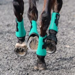 Equilibrium Tri-Zone All Sports Boots Teal