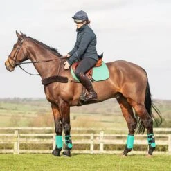 Equilibrium Tri-Zone All Sports Boots Teal 13 Equilibrium Tri-Zone All Sports Boots Teal -Saddle Store teal all sports lifestyle 1