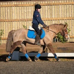 Equilibrium Tri-Zone All Sports Boots Royal Blue 25 Equilibrium Tri-Zone All Sports Boots Royal Blue -Saddle Store tz all sports small size lifestyle 3