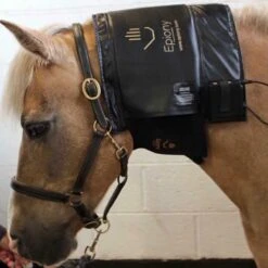 Epiony Horse Heat Pad Black -Saddle Store untitled 1