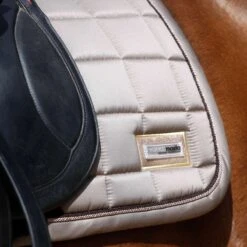 Saddle Store -Saddle Store untitled 2 3 1