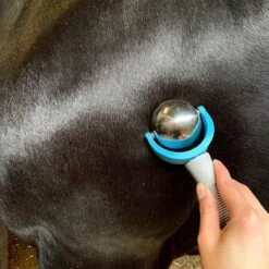 Saddle Store -Saddle Store use 10 ep0005