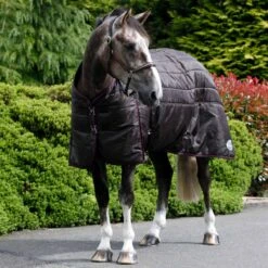 Ventomasta 200g Medium Weight Standard Neck Stable Rug Brown