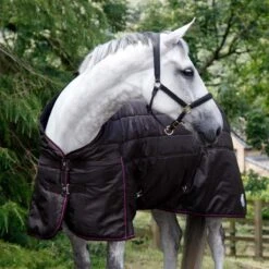 Ventomasta 200g Medium Weight Standard Neck Stable Rug Brown -Saddle Store vento brown.3