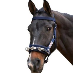 Whitaker Lunge Cavesson Navy Blue