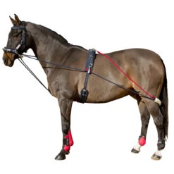 Whitaker Training System