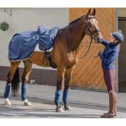 Summer Waterproof Ride On Exercise Sheet Navy Blue Large -Saddle Store yard 1 2 2