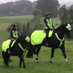 Masta Hi-Viz Horse Fly Veil Yellow -Saddle Store yellow hiviz lifestyle 1 1