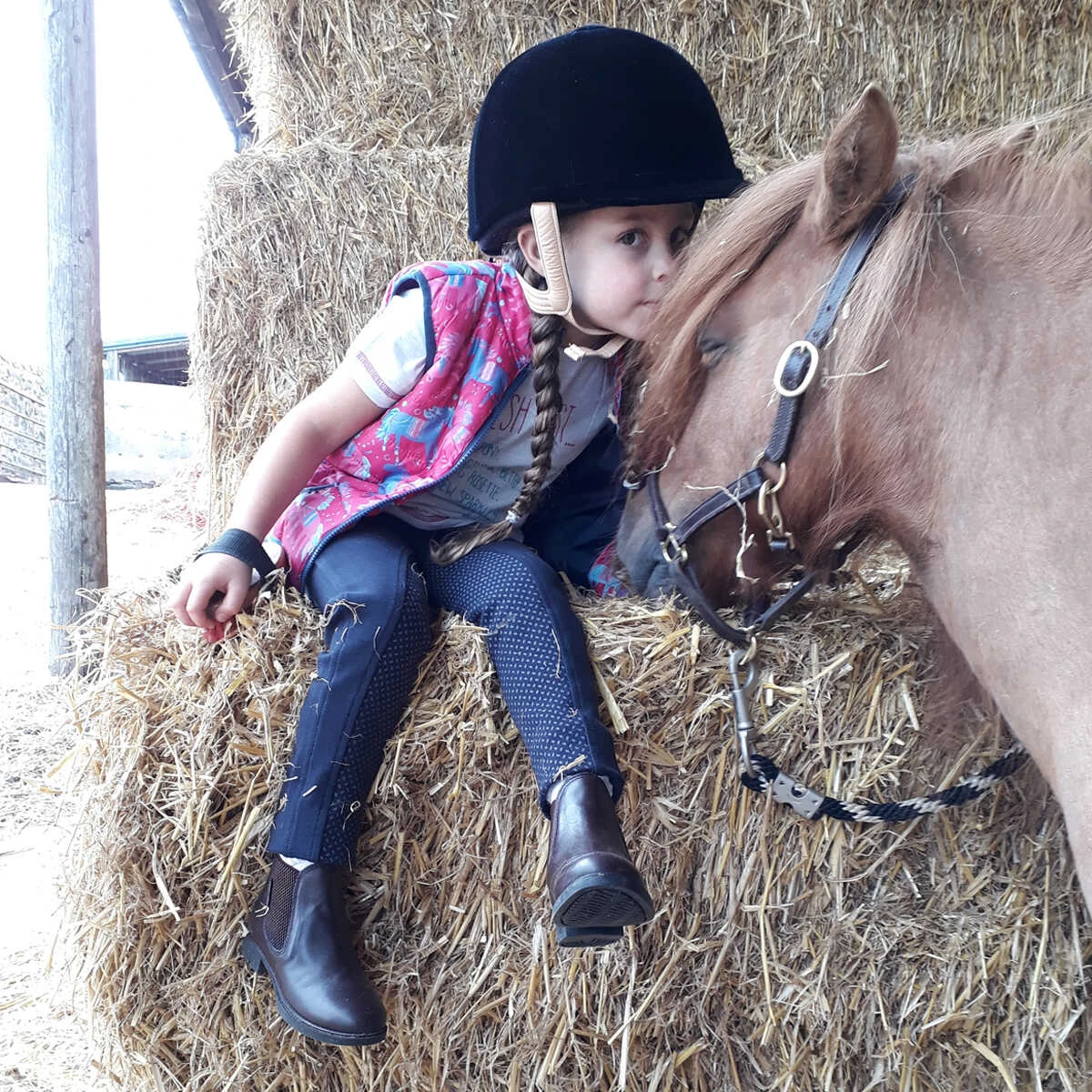 Harry Hall Farnell Grip Seat Junior Jodhpurs Navy Blue 4 Harry Hall Farnell Grip Seat Junior Jodhpurs Navy Blue - Image 4