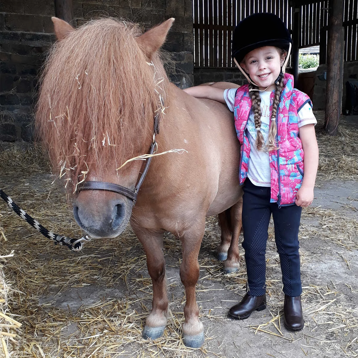 Harry Hall Farnell Grip Seat Junior Jodhpurs Navy Blue 3 Harry Hall Farnell Grip Seat Junior Jodhpurs Navy Blue - Image 3
